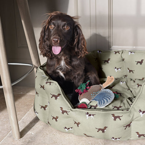 Cocker spaniels