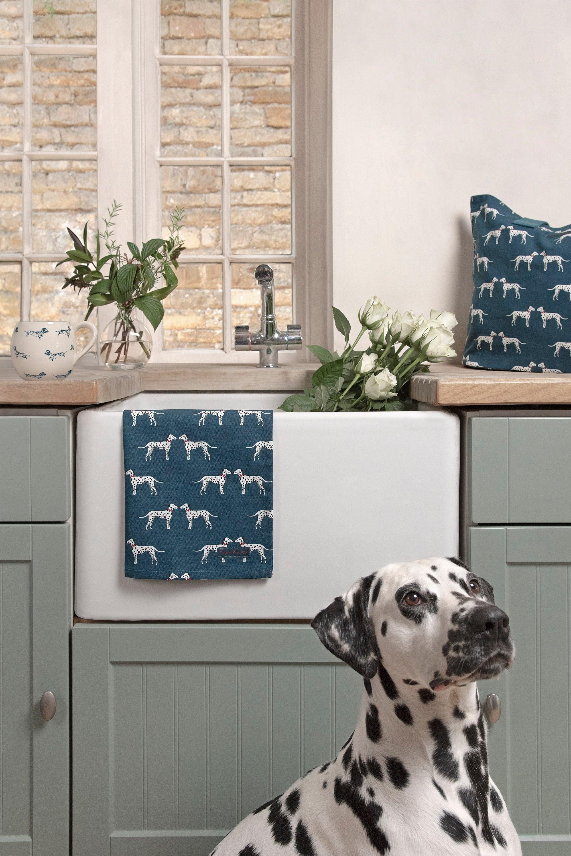 Sophie Allport Dalmatian Collection