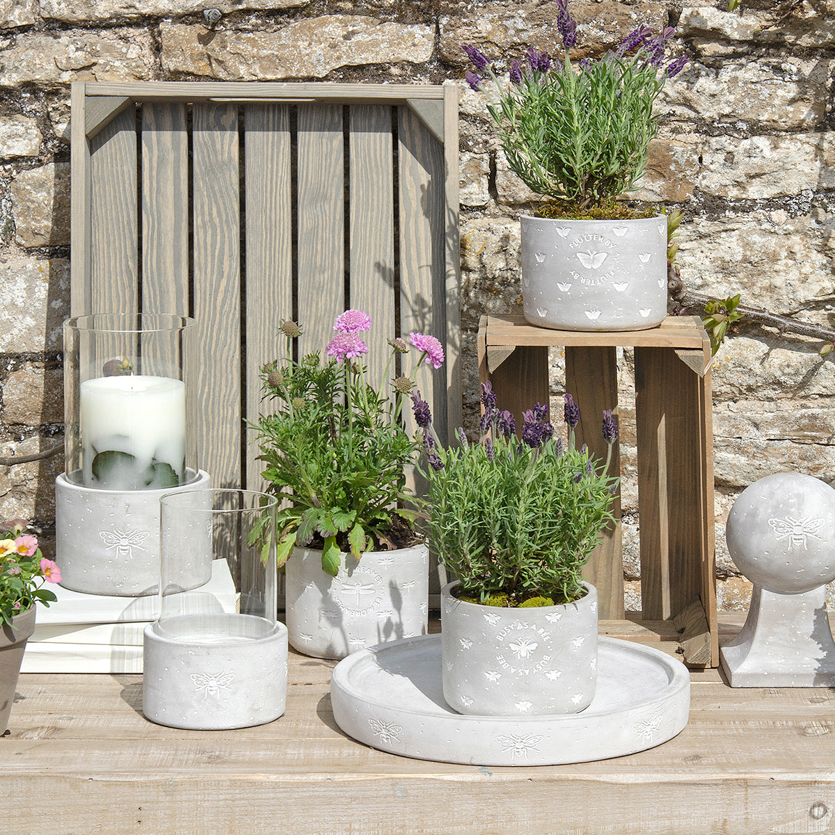 As seen on Alan Titchmarsh: Spring into Summer