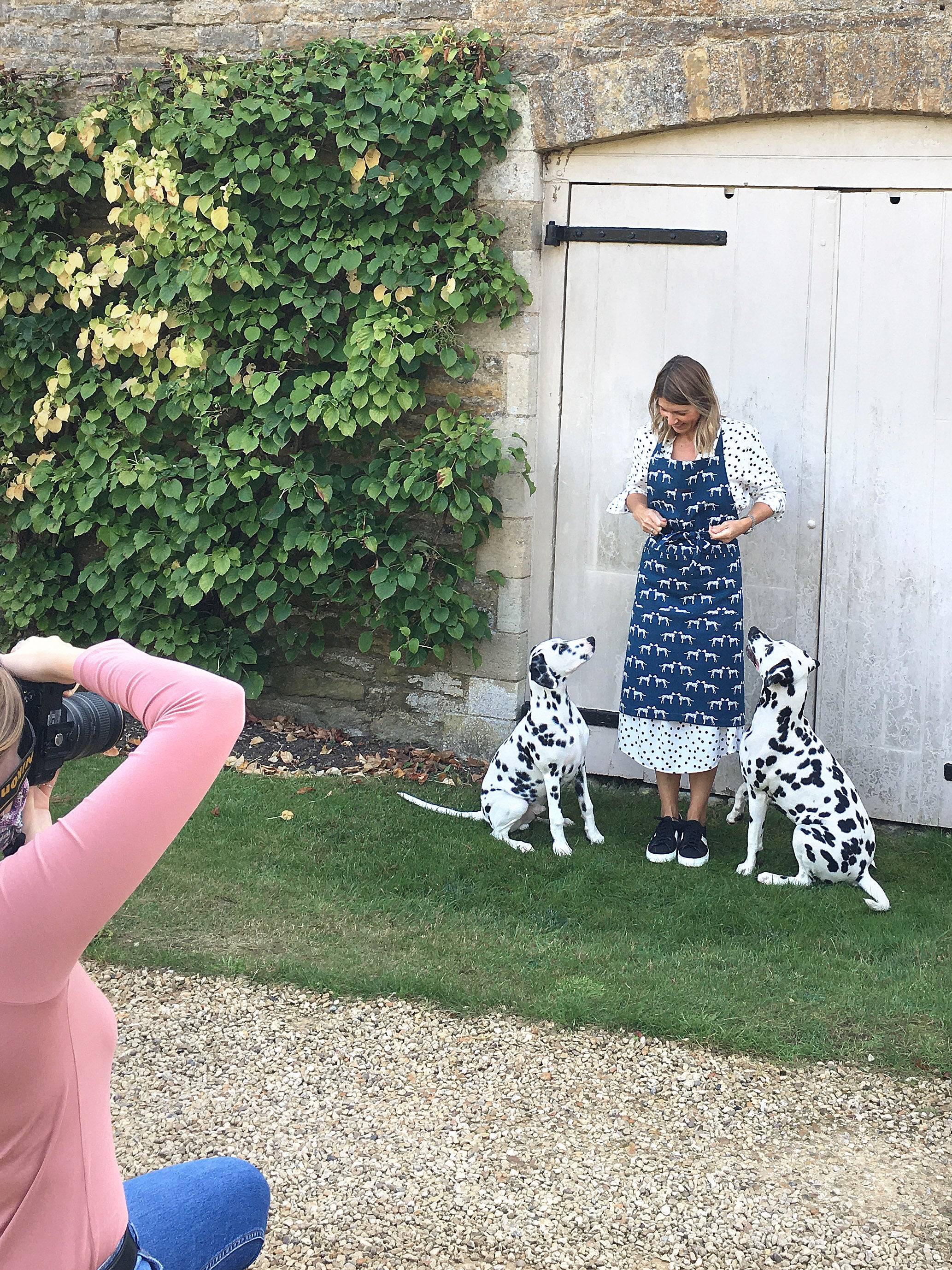 Dog photoshoot by Sophie Allport