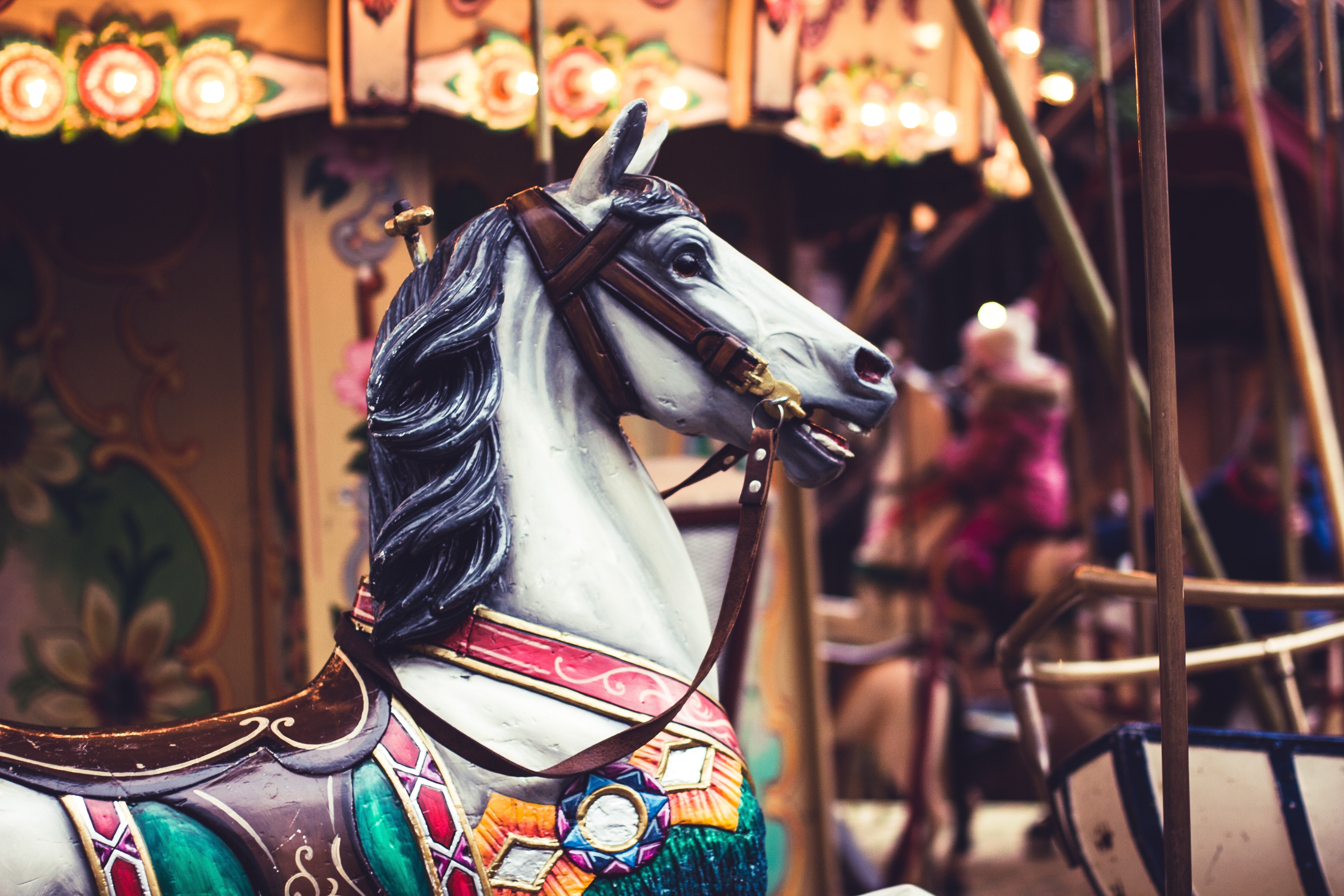 Fairground Ponies by Sophie Allport