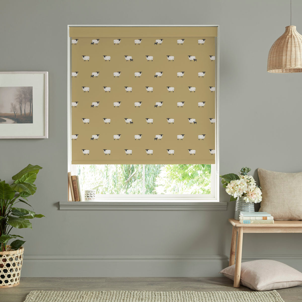 Roller Blinds for Windows  Made to Measure Window Roller Blinds