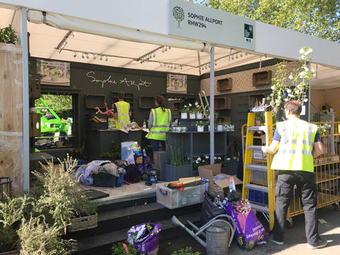 Sophie Allport stand at Chelsea Flower Show 2019