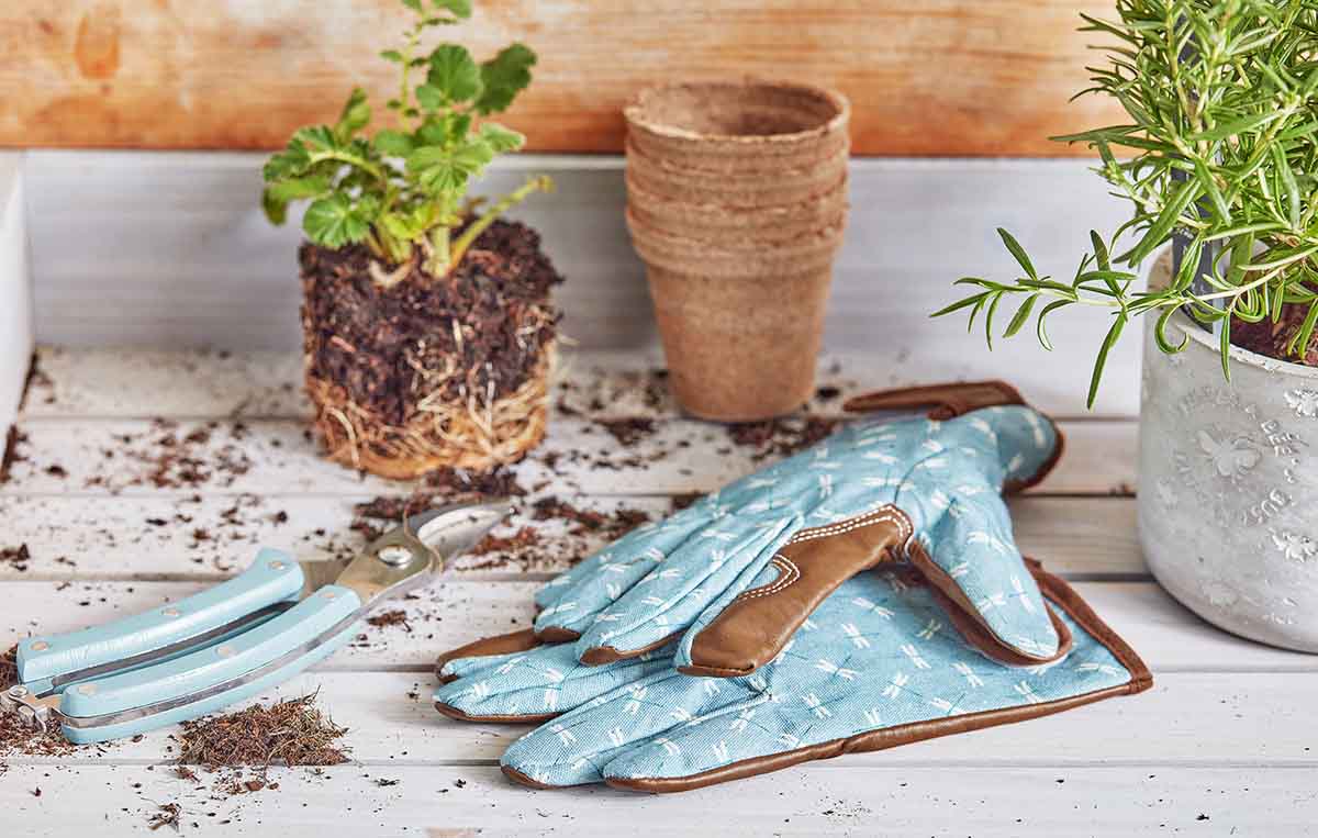 8 Gardening Essentials Every Gardener Needs