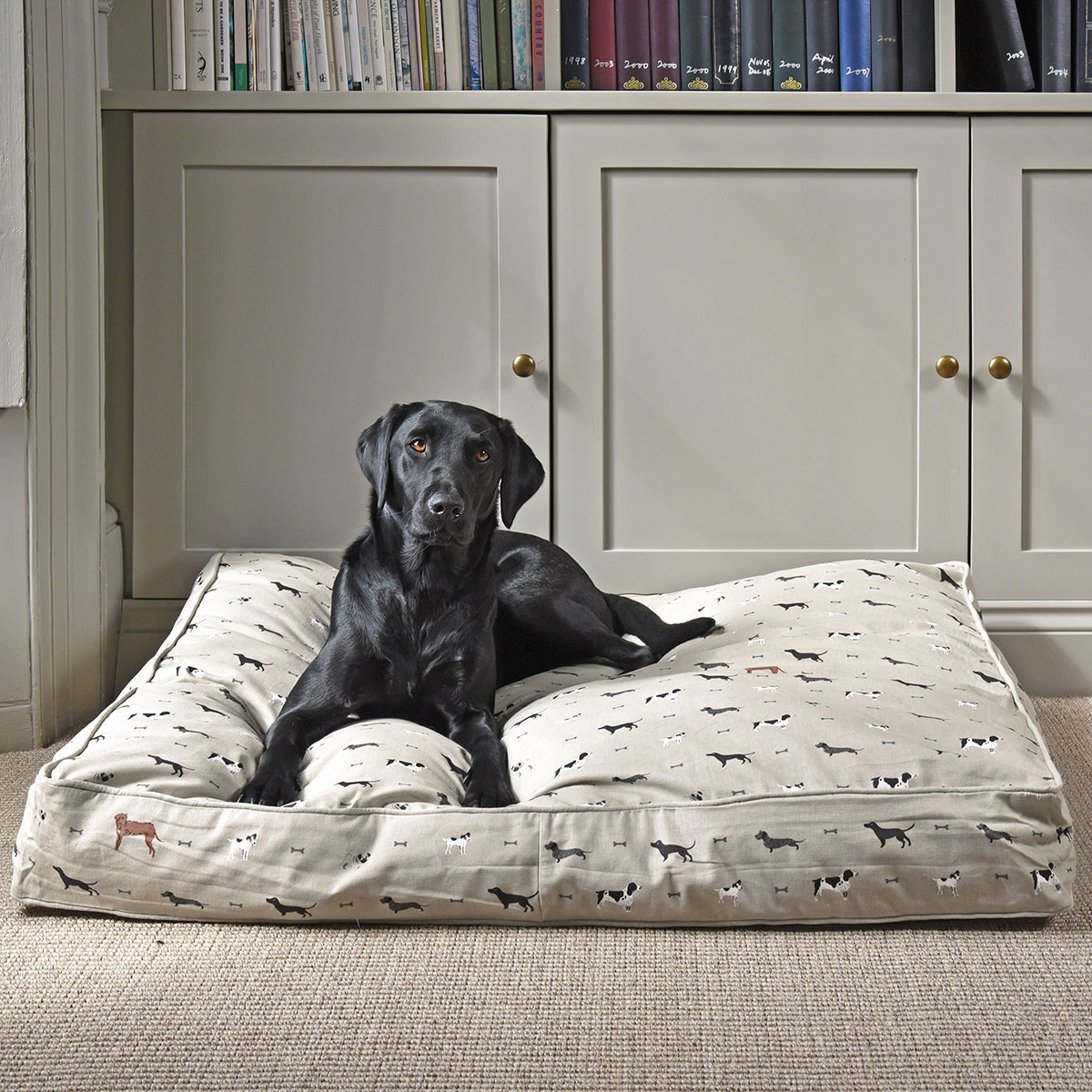 Woof Pet Bed Mattress by Sophie Allport