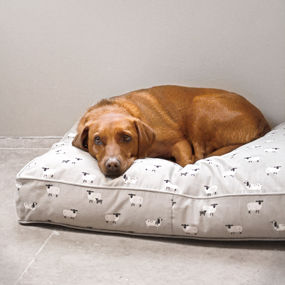 Sheep Pet Bed Mattress by Sophie Allport