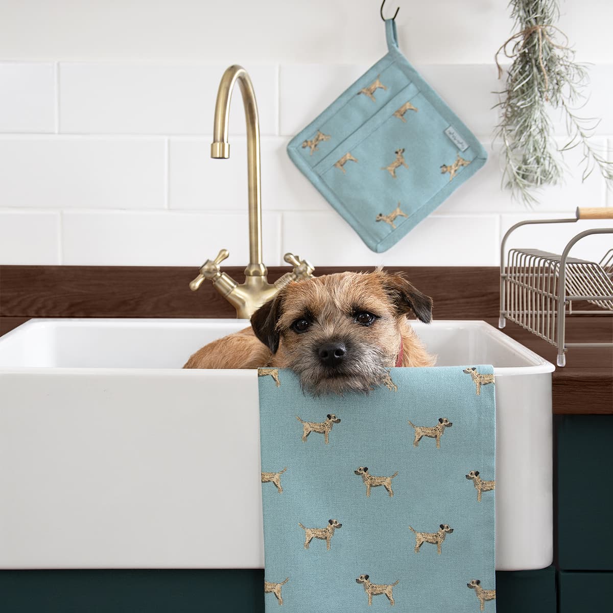 https://cdn.shopify.com/s/files/1/0201/1771/7092/products/all98602-all98125-border-terrier-tea-towel-set-of-2-and-pot-grab-lifestyle-high-res-square.jpg?v=1649340917