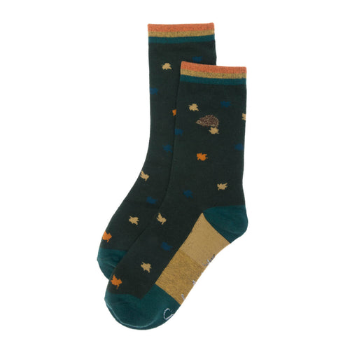 Cotton Socks for Women & Men