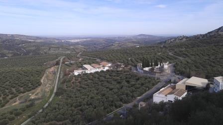 Olive Trees and Processing Mill Zuheros Spain Telegraph Hill
