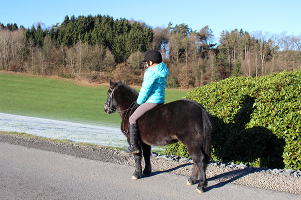 Marina und Smarty reiten im Winter aus