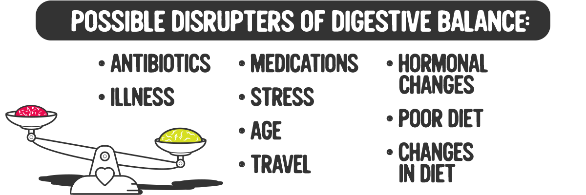 Possible factors that can disrupt your digestive balance.