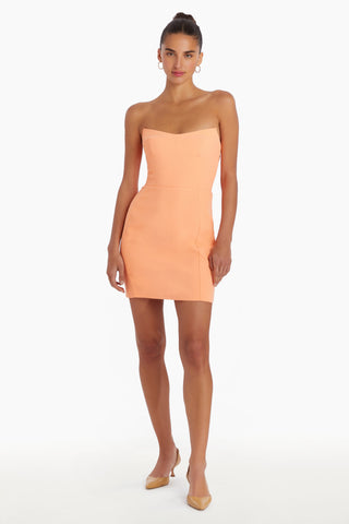 Amanda Uprichard Ivy Mini Dress In Orange