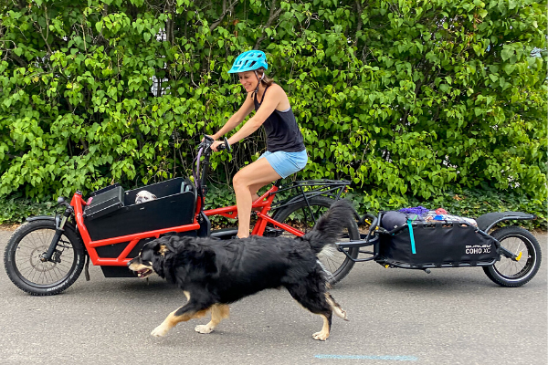 Riese and Muller Load 75 E-Cargo Bike with Burley Coho XC Trailer for Bike Packing