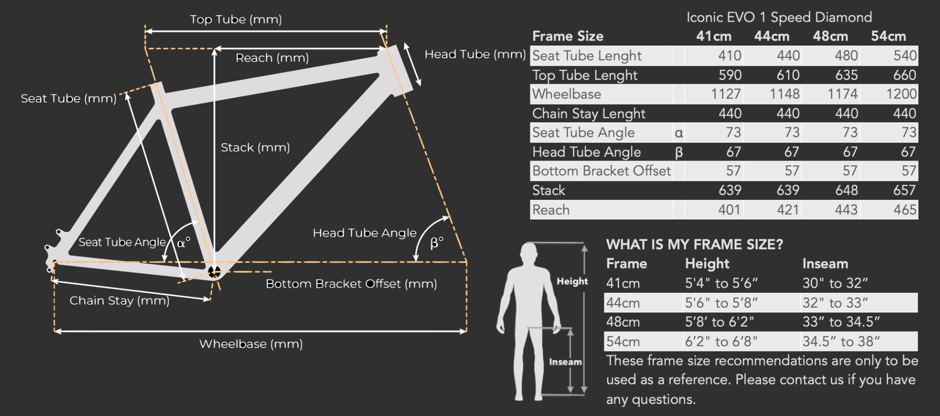 BULLS Iconic Evo 1 Speed Geometry