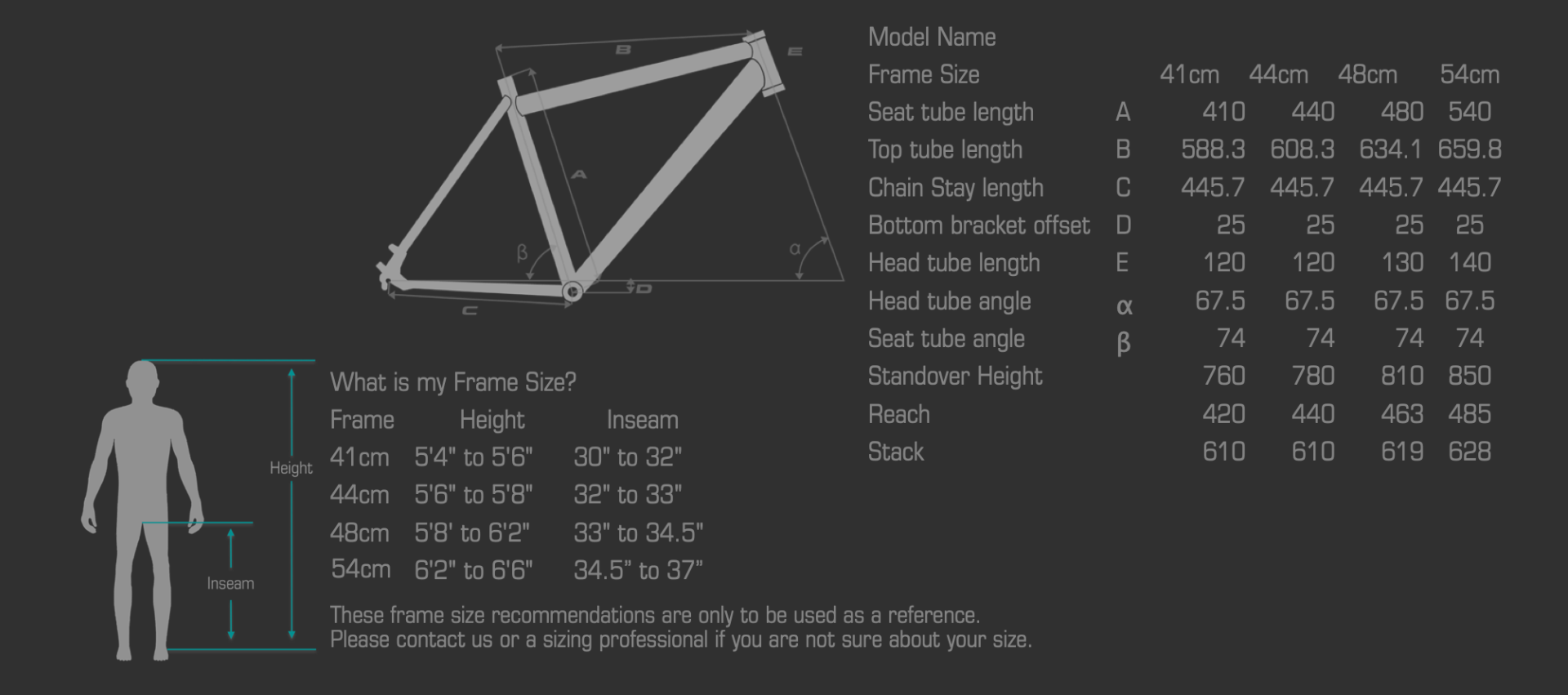 BULLS Iconic Evo TR 2 Speed GEOMETRY