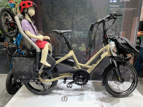 Carry Kids On An E-Bike