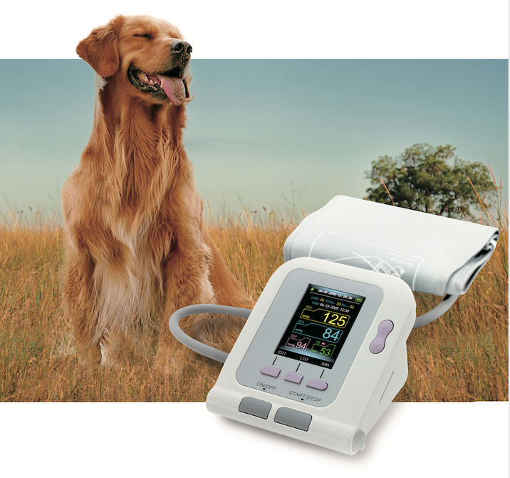 LCD Display Home Use/Clinic Use Small Animal Veterinary Infrared Therm –  KeeboMed