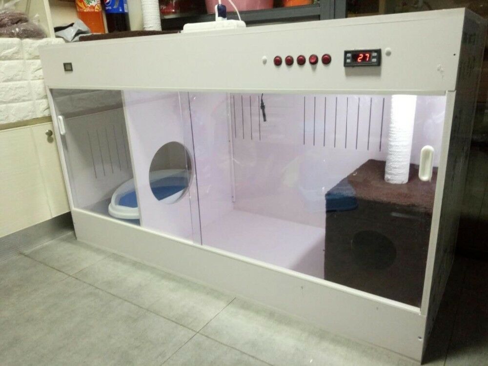 incubator for puppies for sale