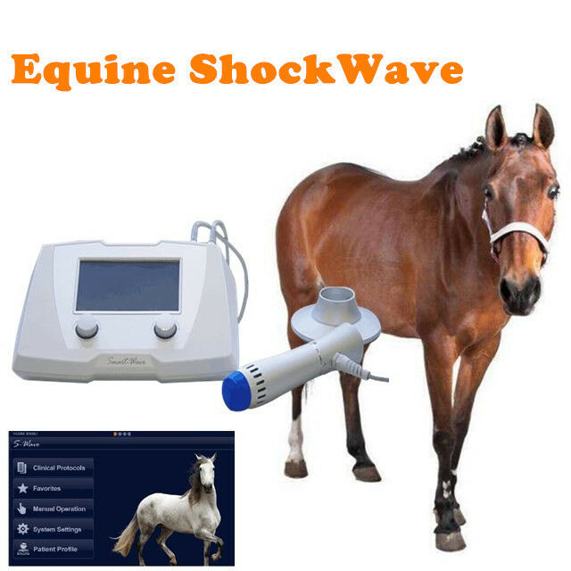 Extracorporeal shockwave therapy machine for horses
