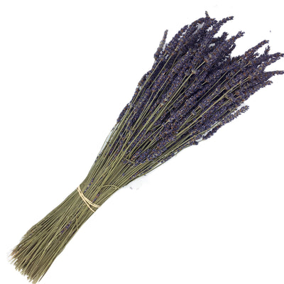 Dried Lavender Stems (Flowers), Weir's Lane Lavender & Apiary