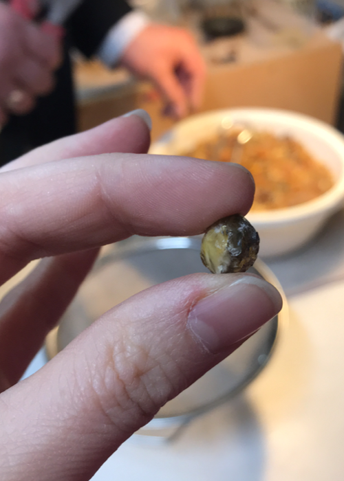 Baltic Amber Rough-Cut Bead