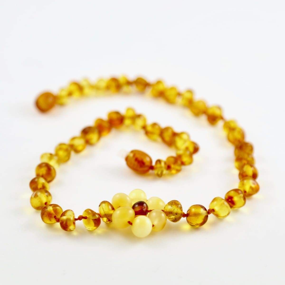 hazelaid baltic amber