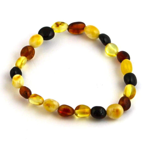 Baltic Amber Multicolored Bean