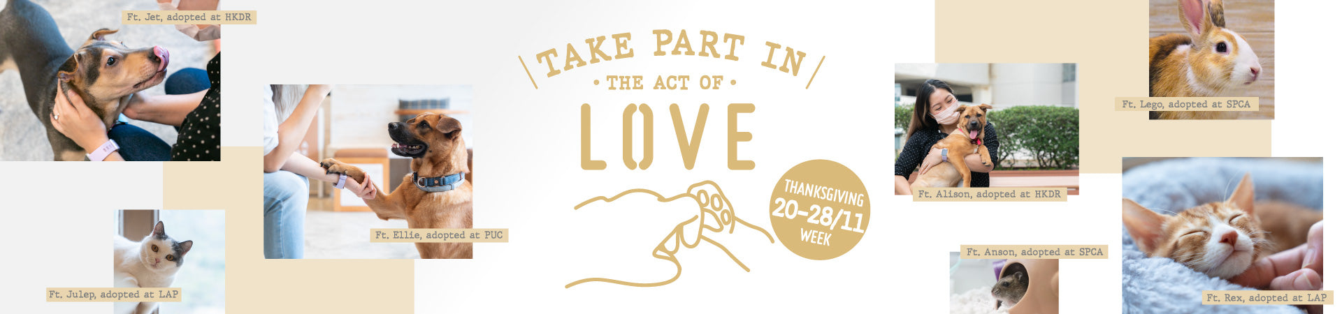 TAKE PART IN THE ACT OF LOVE DURING THANKSGIVING WEEK