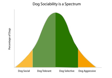 dog sociability is a spectrum