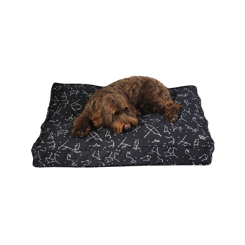 Provide him a comfortable dog bed to sleep