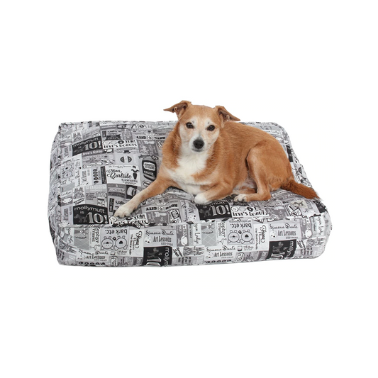 cheap large dog beds near me