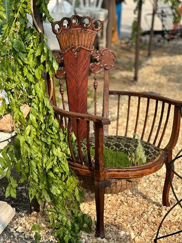 Plants filling in an old wooden chair seat cushion.