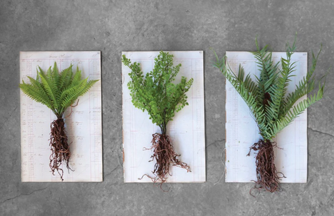 Faux Rooted Greenery