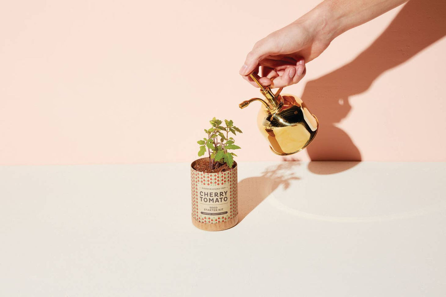 Brass Mister