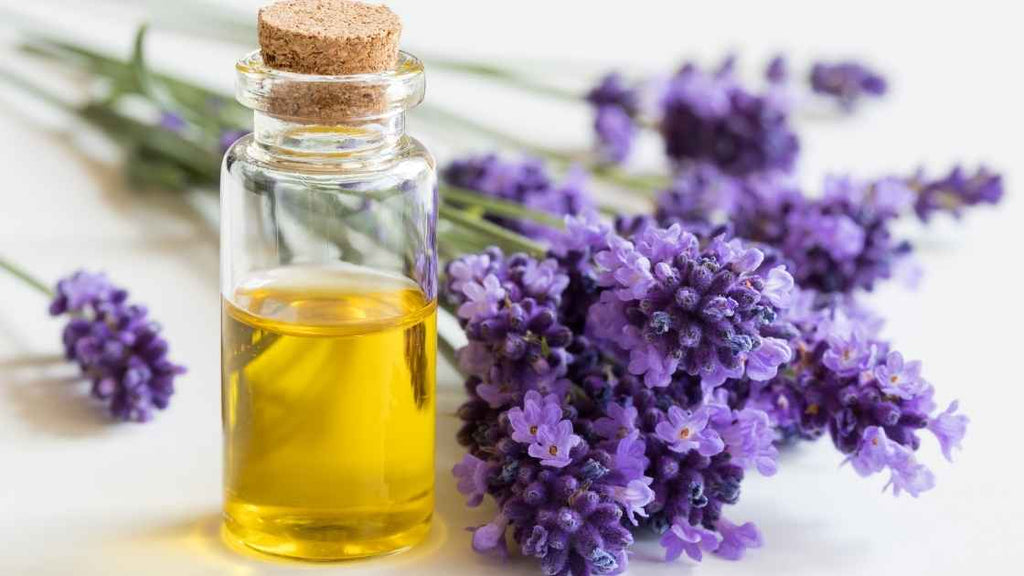 lavender essential oil with flowers