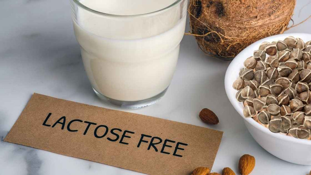 moringa seeds in bowl with glass of lactose free milk and sign saying lactose free