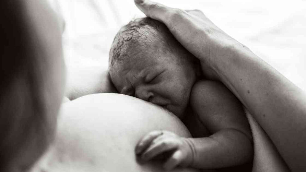 newborn baby trying to breastfeed