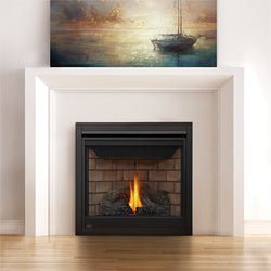 Napoleon Direct Vent Gas Fireplace