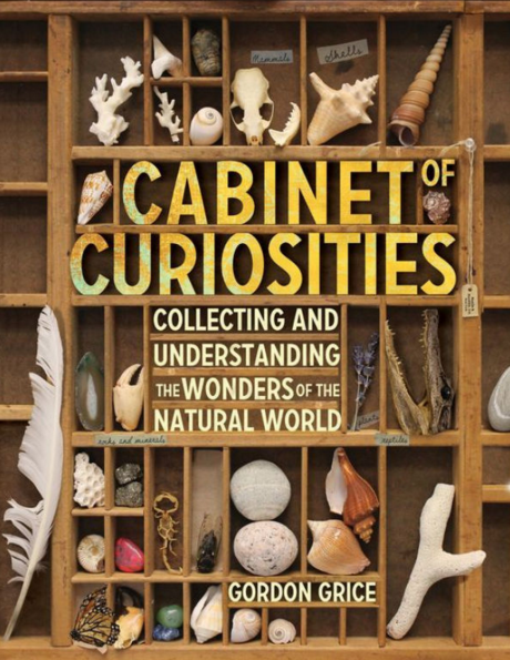 a world of curiosities book