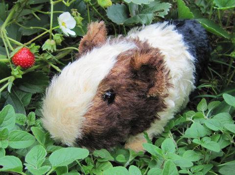 guinea pig plush pattern