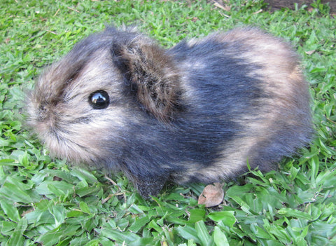 guinea pig plush pattern