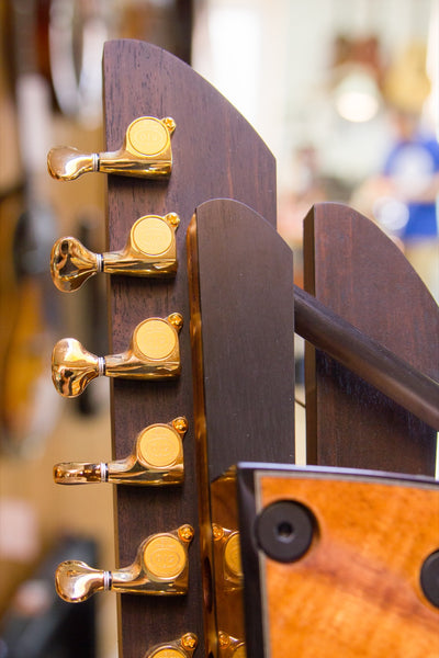 Repair Spotlight: Any McKee Harp Guitar
