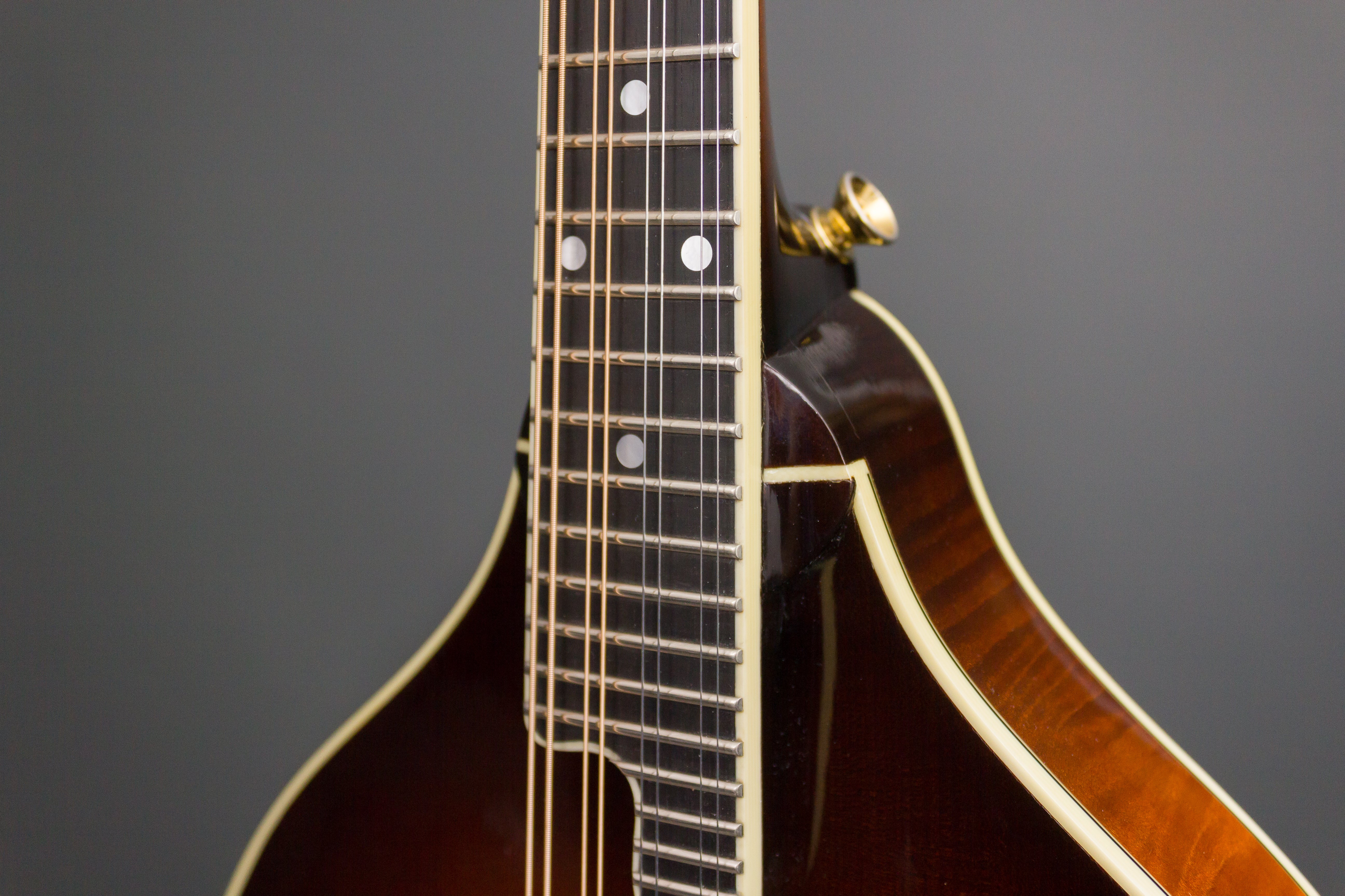 the flatiron mandolin serial 84022640