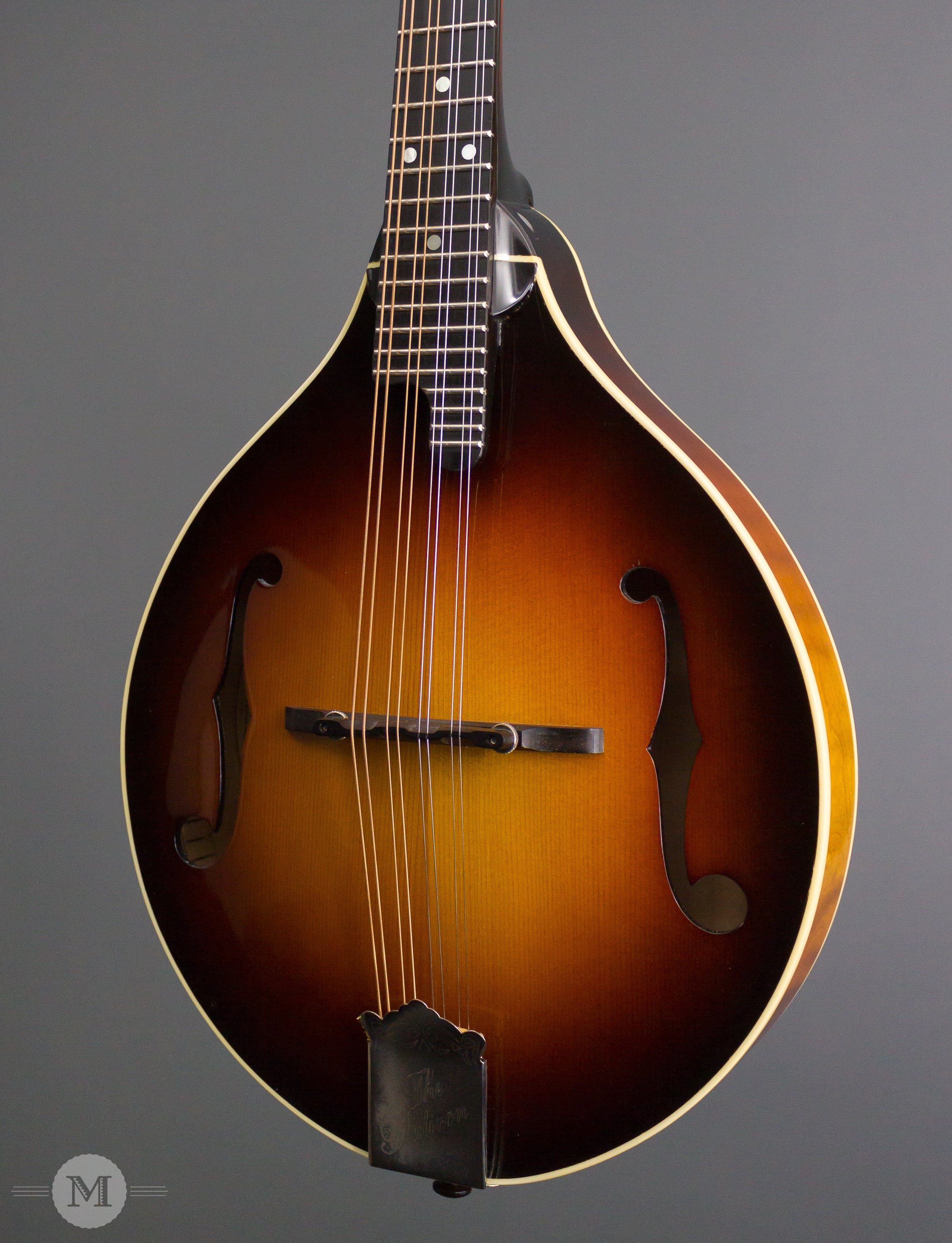 the flatiron mandolin 1993