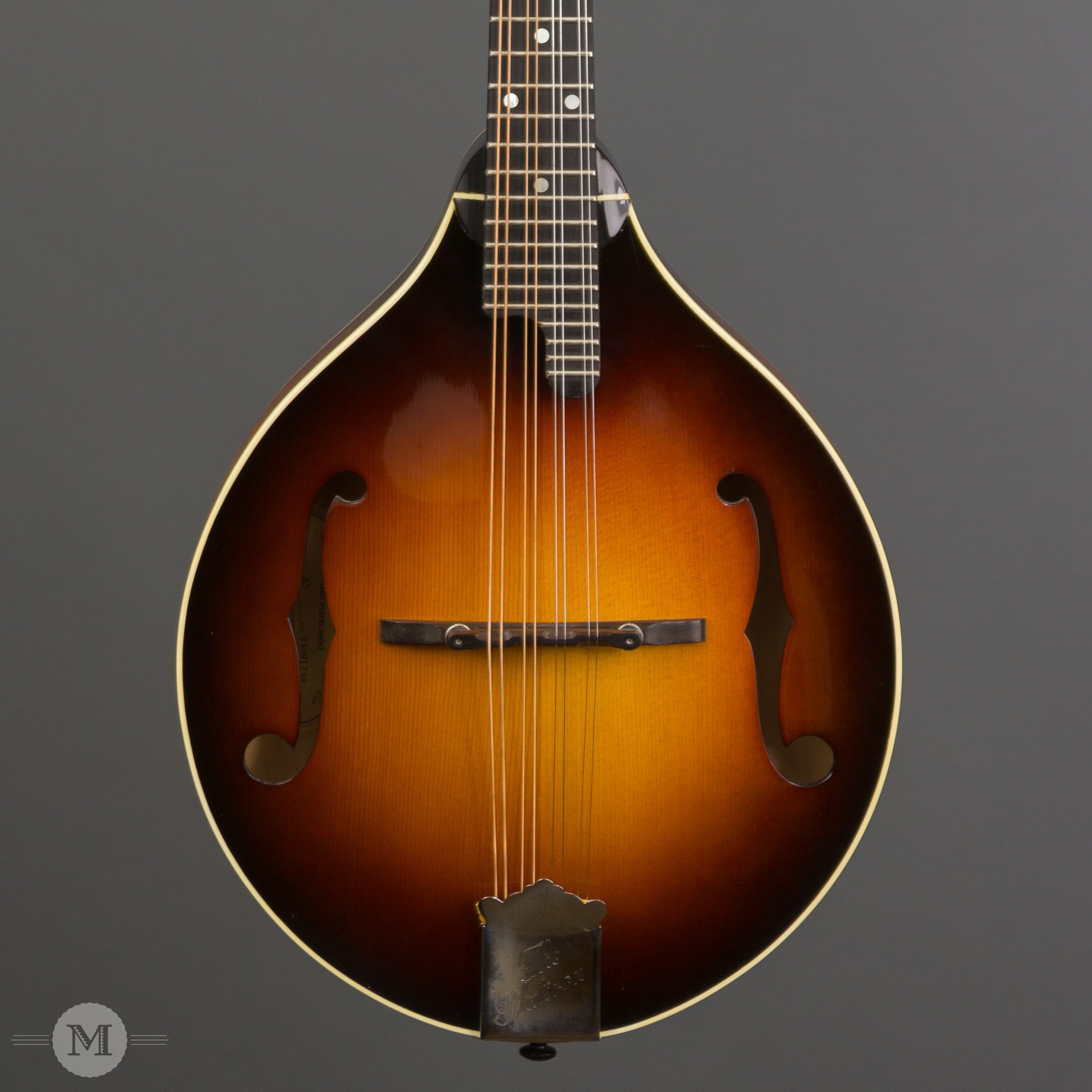 the flatiron mandolin 1993