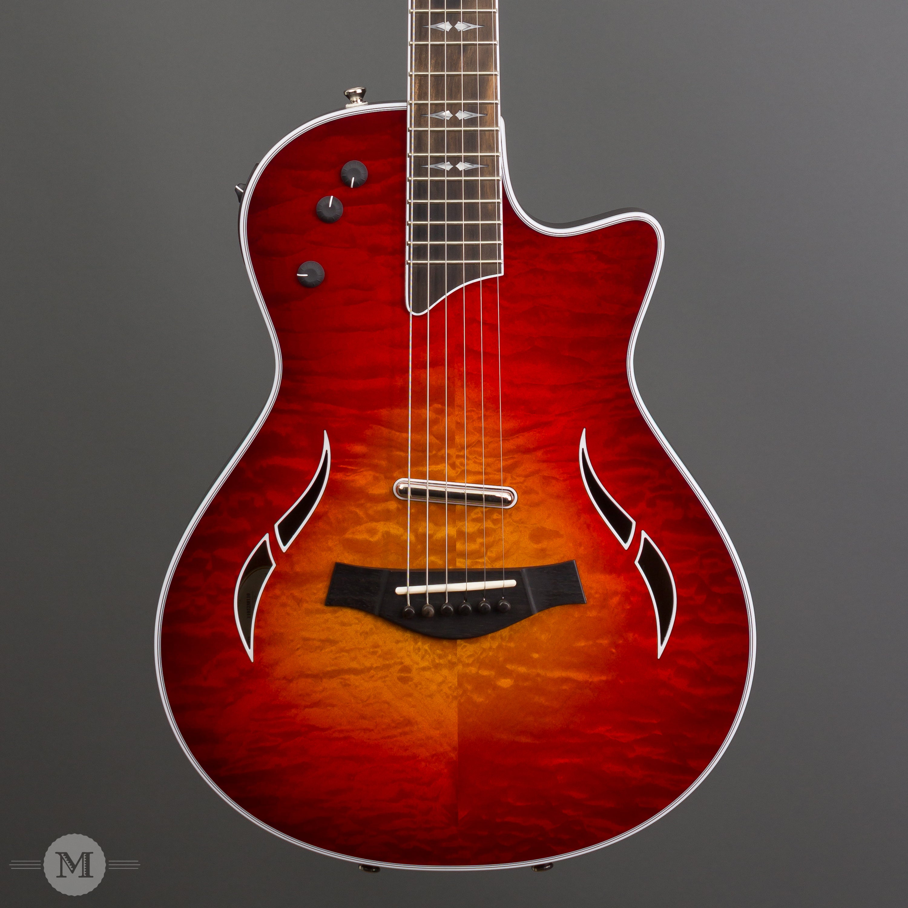 Taylor Electric Guitars - T5z Pro LTD 