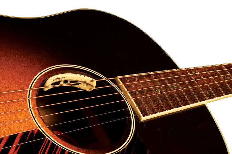 acoustic soundhole microphone