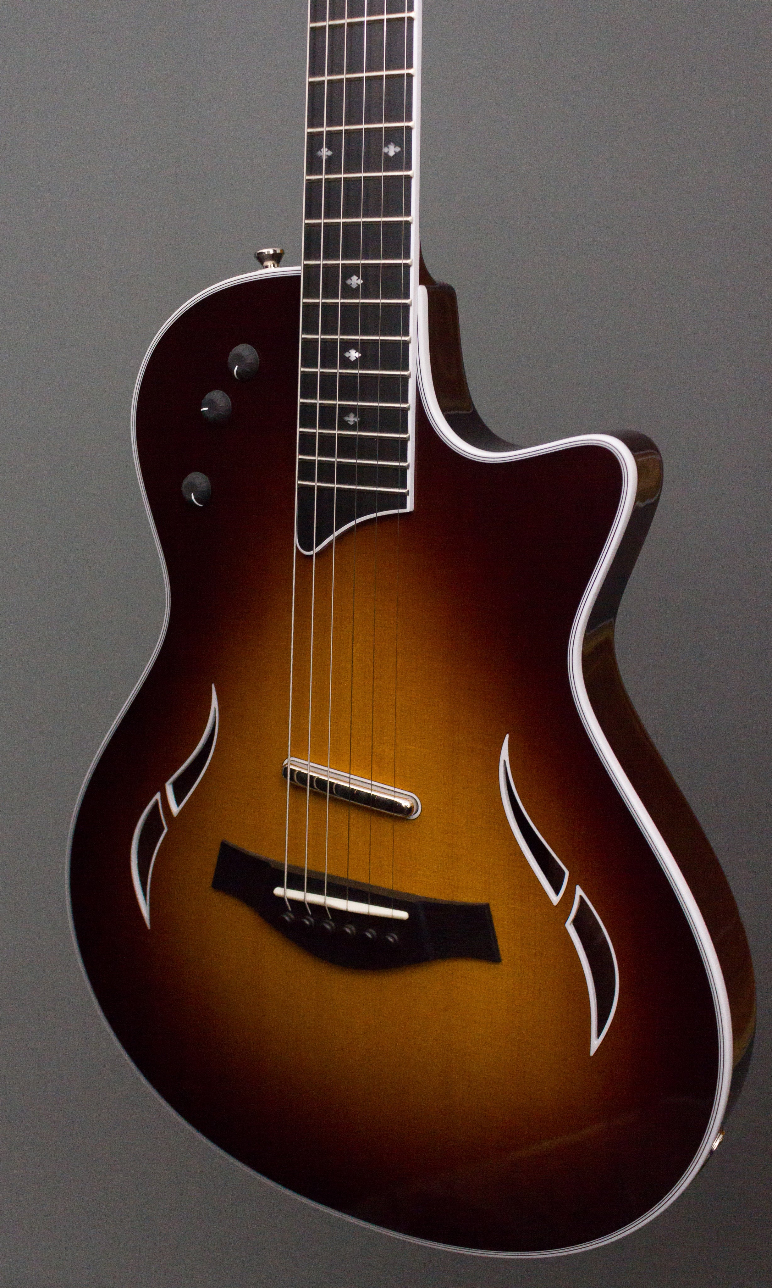 Taylor Electric Guitars - T5z Standard 