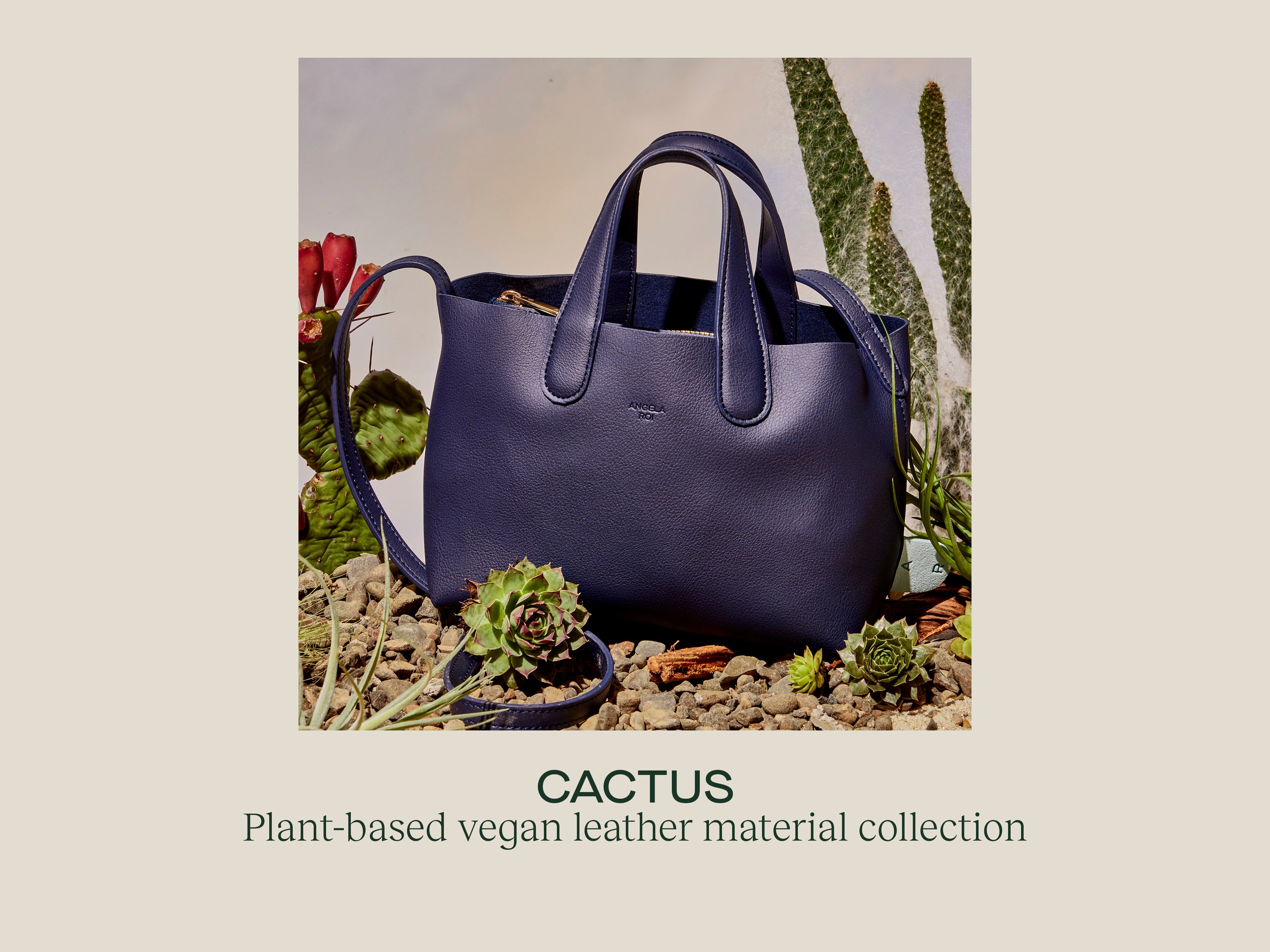 AR Cactus bag model