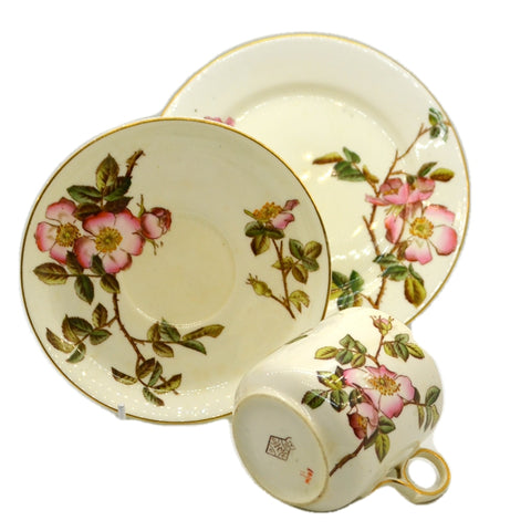 george jones china briar teacup